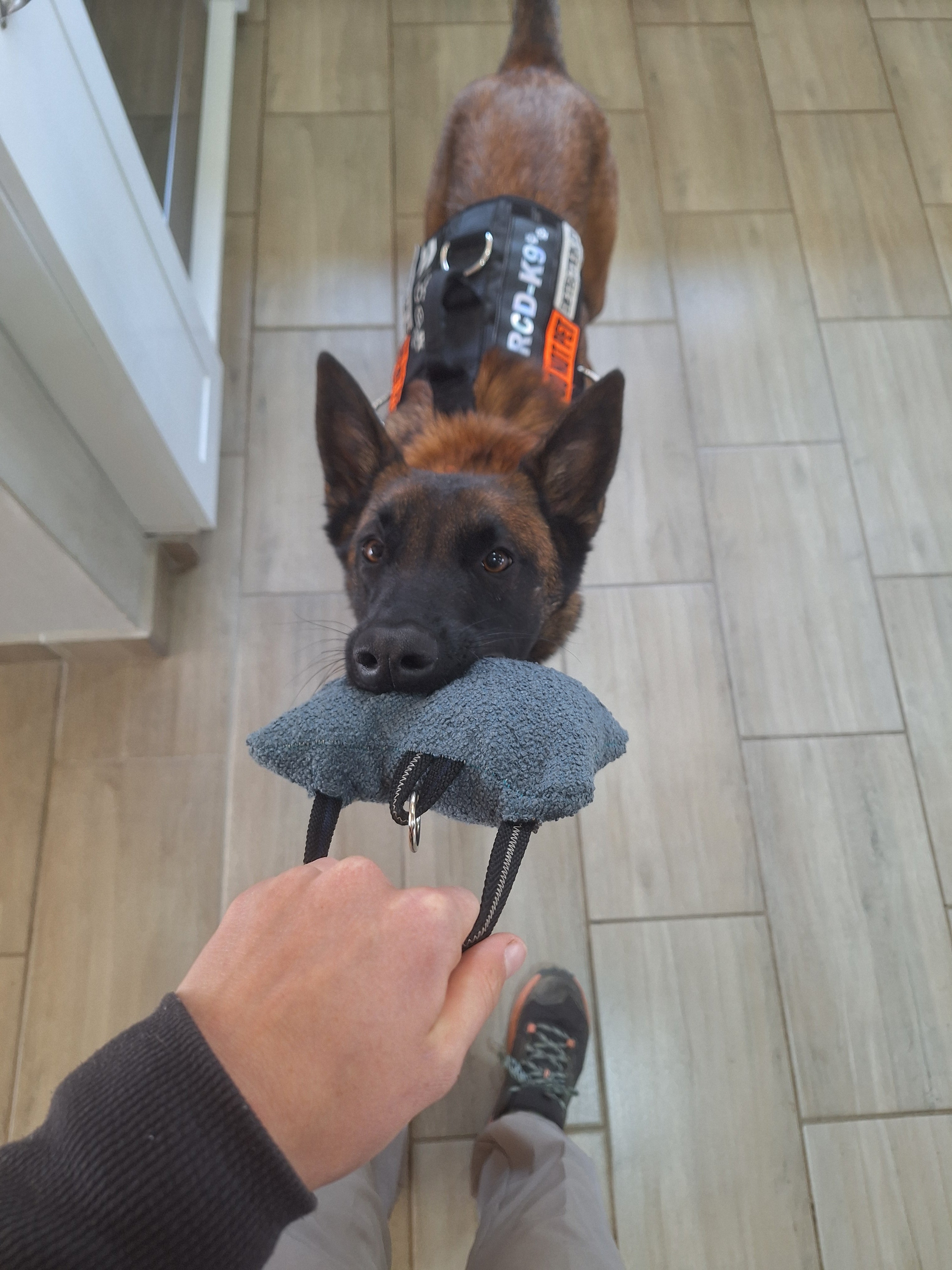 Cotton/Nylon Puppy Bite Pillow